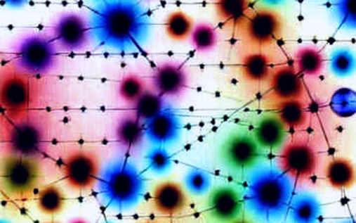The Empty Dataset: Why Gaps in Information Are the Market’s Loudest Signal The Empty Dataset: Why Gaps in Information Are the Market’s Loudest Signal
